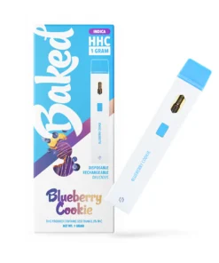 1 Gram HHC Vape Pen - Blueberry Cookie | Indica